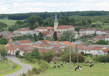 Le mot du Maire