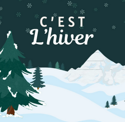 Capture d'écran 2026-01-06 160209